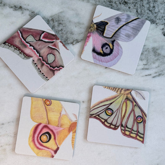 Moth Wings Birchwood Coaster Set