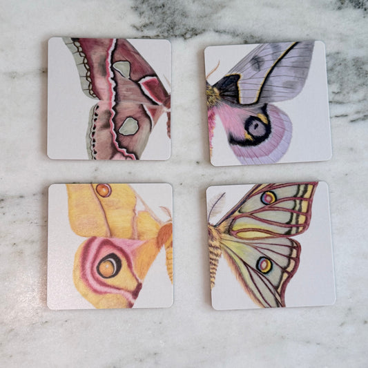 Moth Wings Birchwood Coaster Set