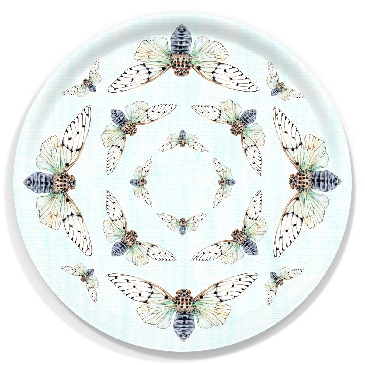 Ayuthia spectabile Birchwood Tray