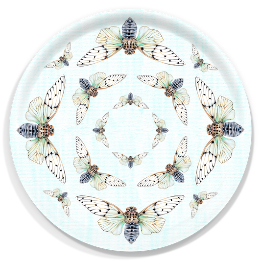 Ayuthia spectabile Birchwood Tray
