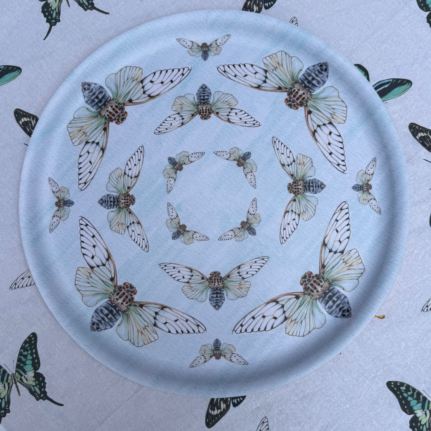 Ayuthia spectabile Birchwood Tray